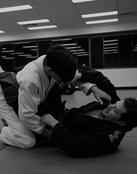 Movement Martial Arts - Best Sydney BJJ Kickboxing MMA Classes