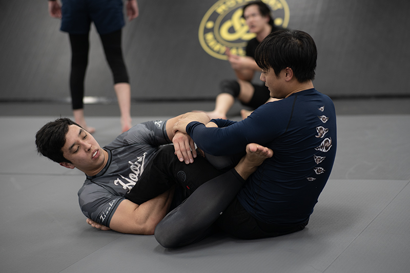 Sydney BJJ training - Brazilian Jiu Jitsu Classes at Movement Martial Arts