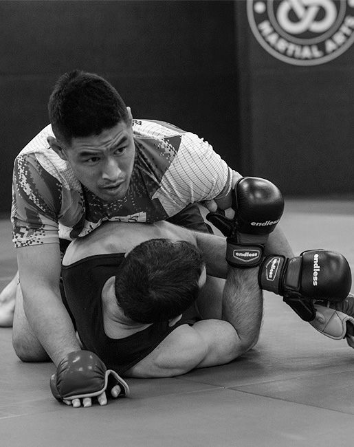Sydney MMA - Mixed Martial Arts training at Movement Martial Arts